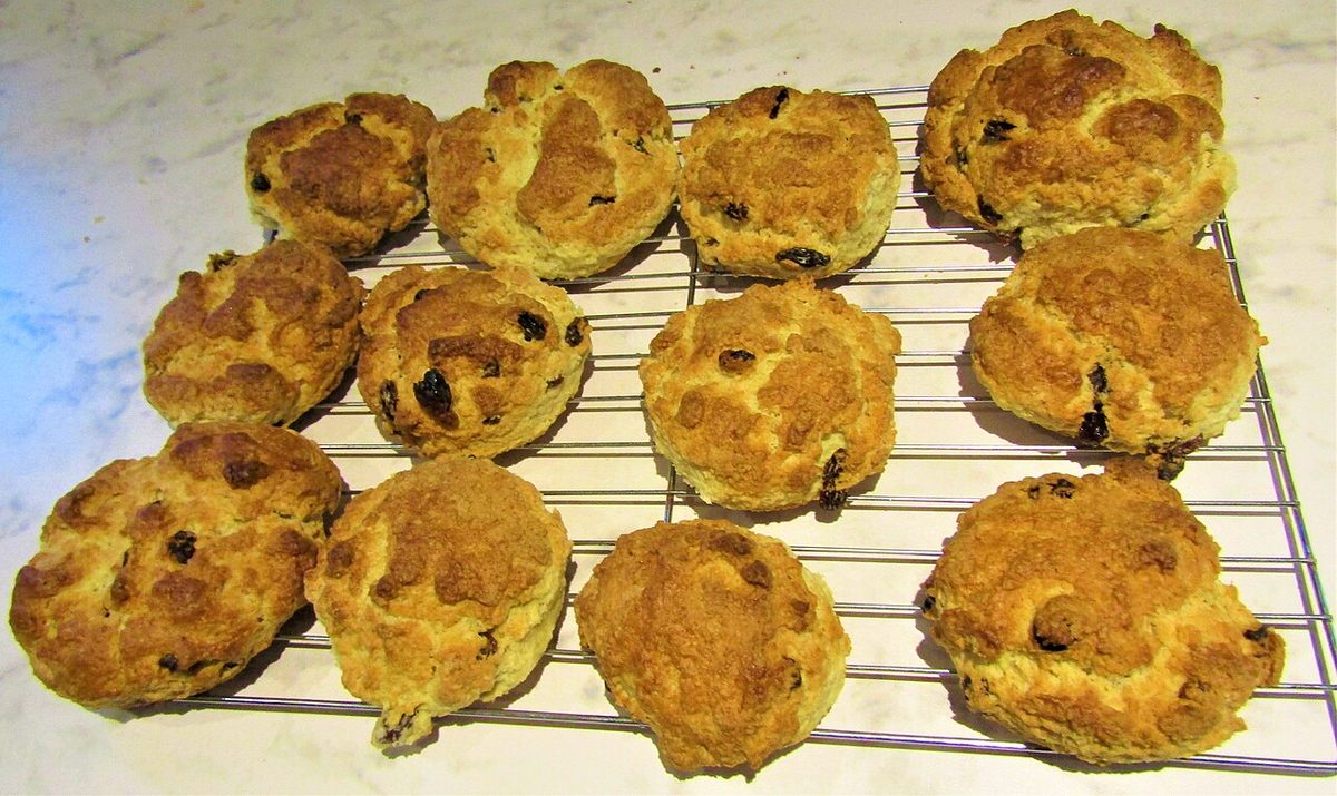 Eleven golden-brown fruit-studded scones cooling on a wire rack on a marble counter